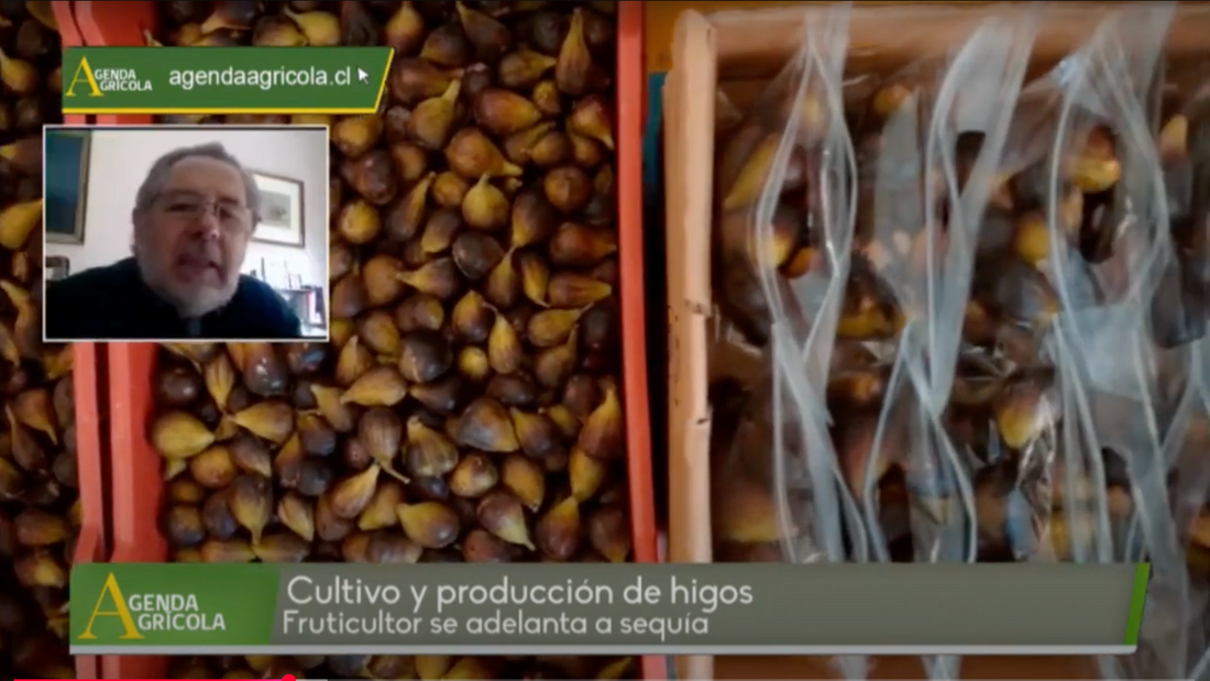 Entrevista en Agenda Agrícola de RED TV