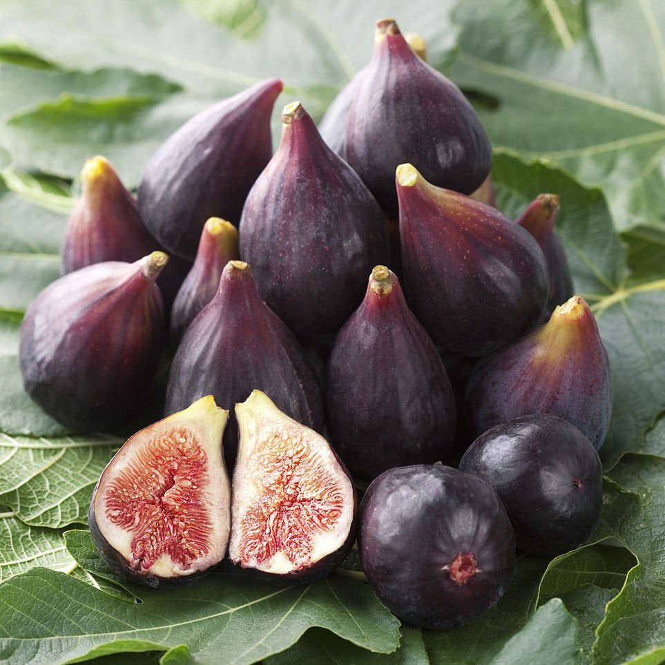 Higos frescos - 30 Kg. en Clamshell de 250 gr. Categoría A